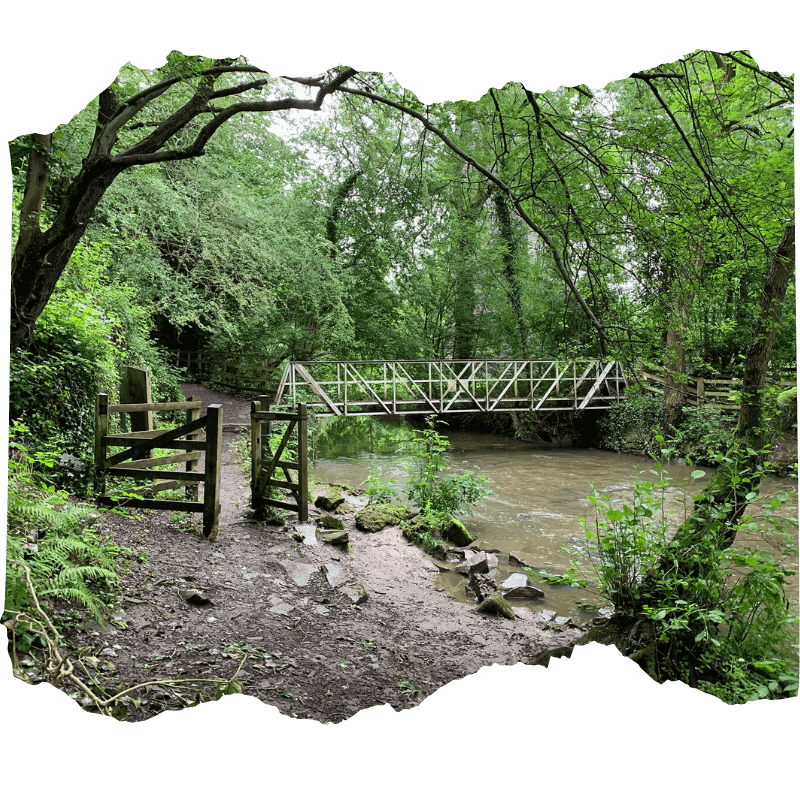 Britol Reserve | Sonia F. Contreras